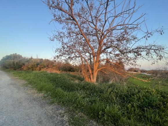 Οικόπεδο  σε πλειστηριασμό Municipality of Pydna - Kolindros