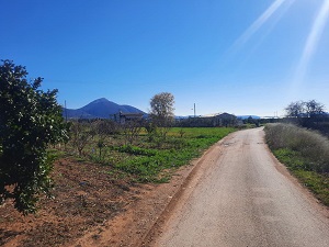 Οικόπεδο με κτίσμα 2593.26 sq.m. σε πλειστηριασμό Municipality of Argos - Mycenae