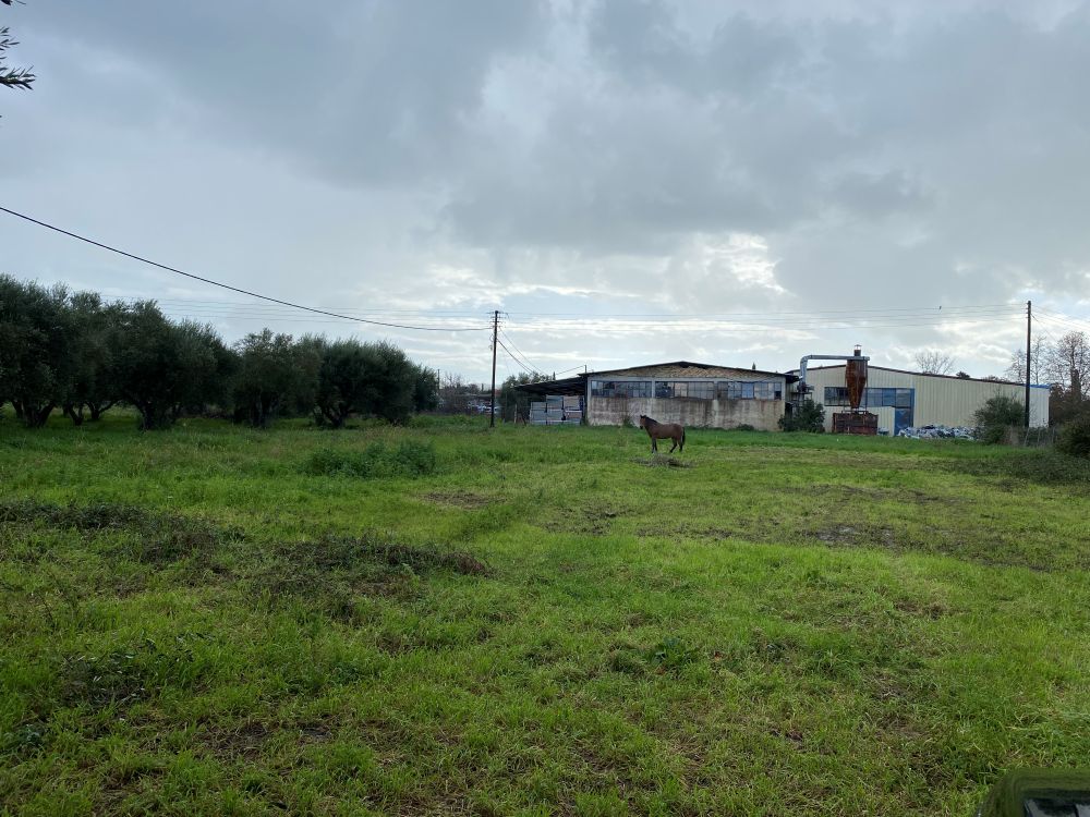 Αγροτεμάχιο 912 sq.m. σε πλειστηριασμό Municipality of Ilida