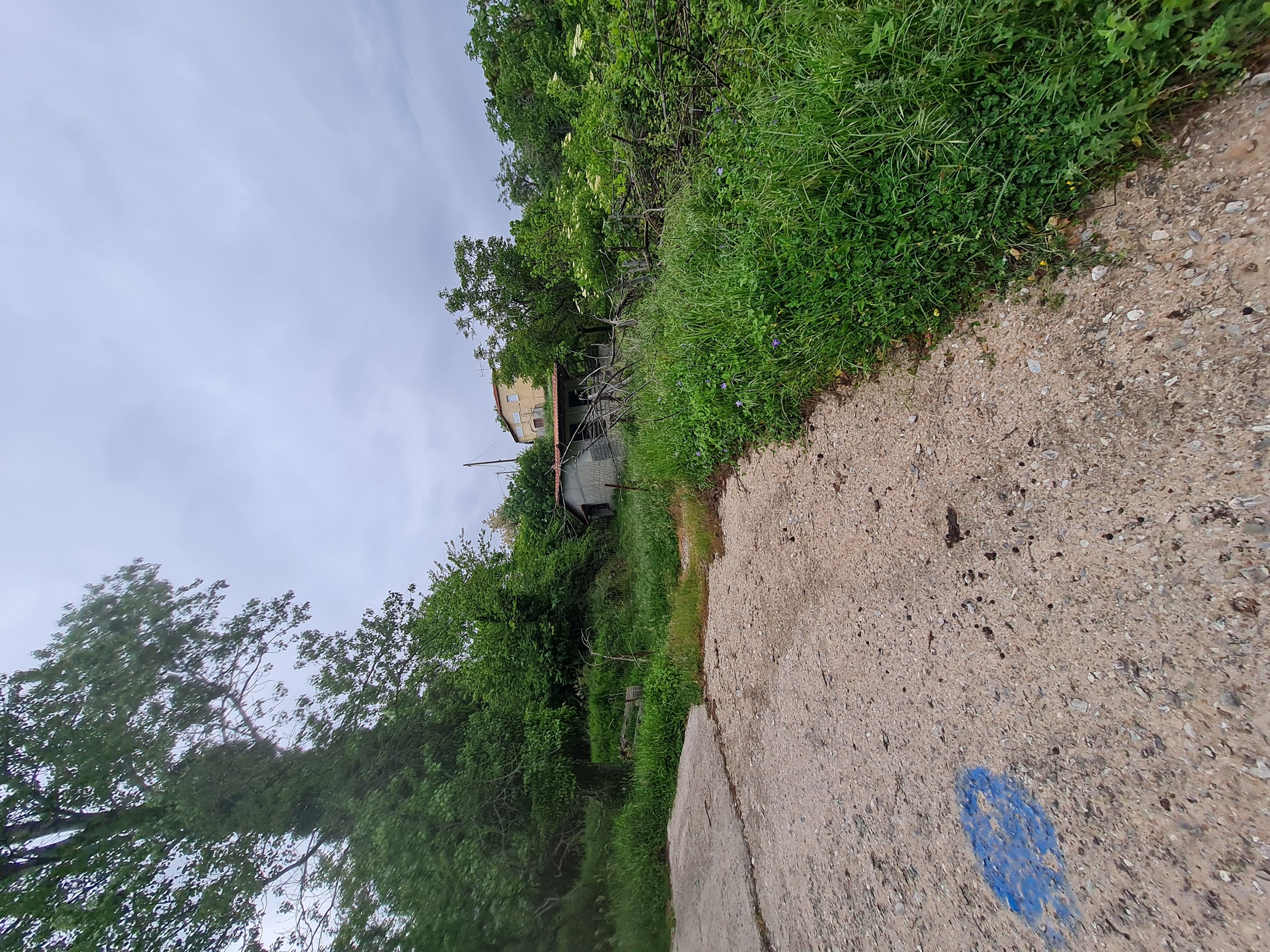 Οικόπεδο με κτίσμα 58.08 sq.m. σε πλειστηριασμό Municipality of Aegialia