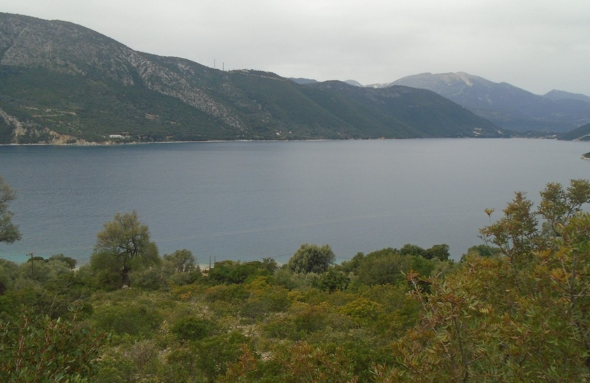 Αγροτεμάχιο 6711 sq.m. σε πλειστηριασμό Municipality of Lefkada