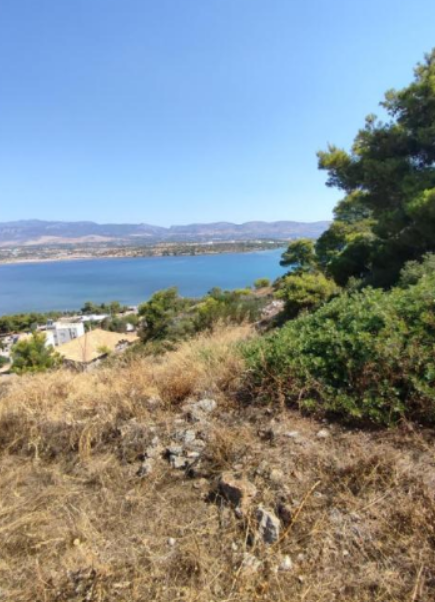 Οικόπεδο 1316 sq.m. σε πλειστηριασμό Municipality of Megareo
