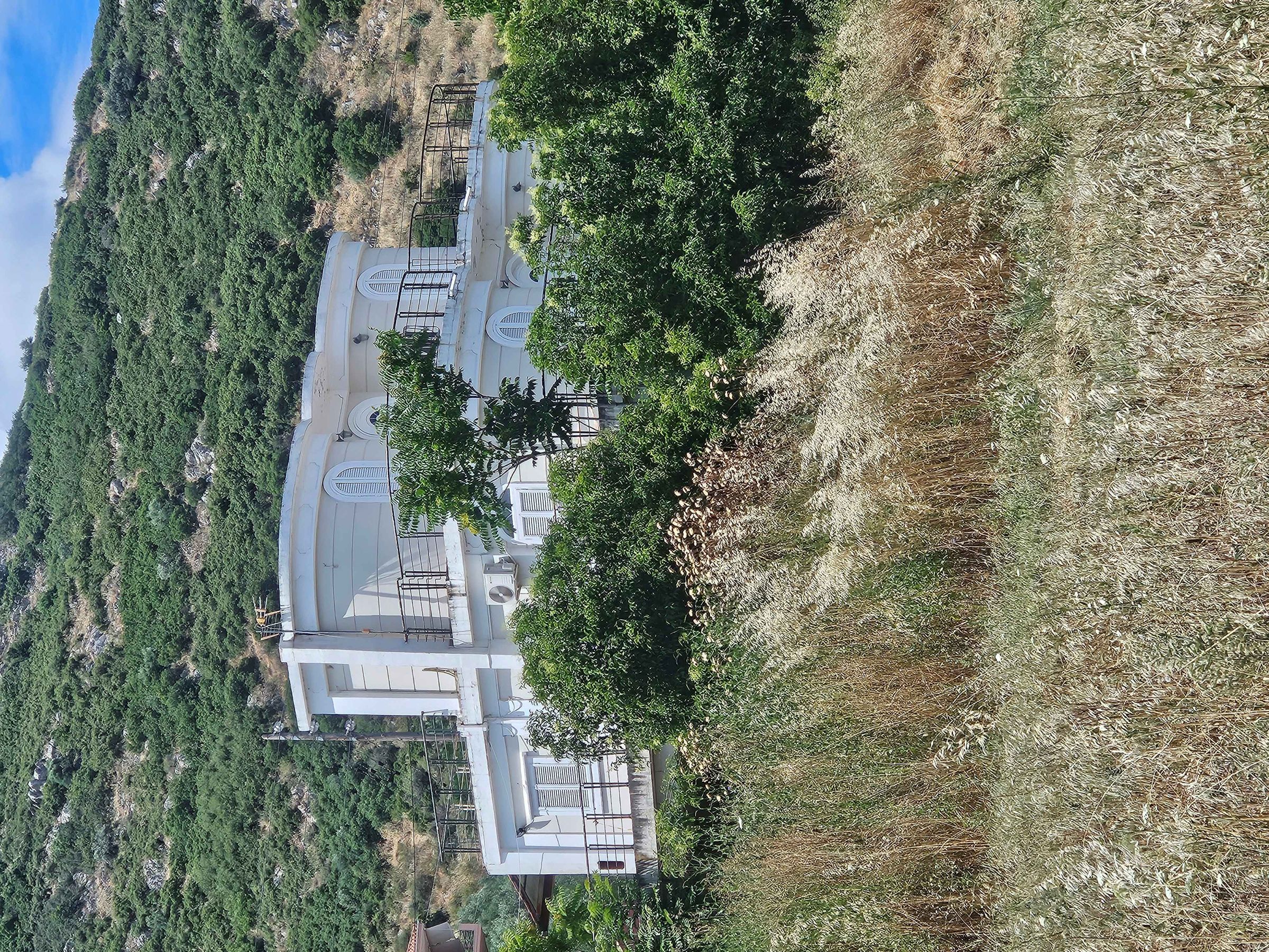 Οικόπεδο με κτίσμα 924.93 τ.μ. σε πλειστηριασμό Δήμος Αλιάρτου - Θεσπιέων