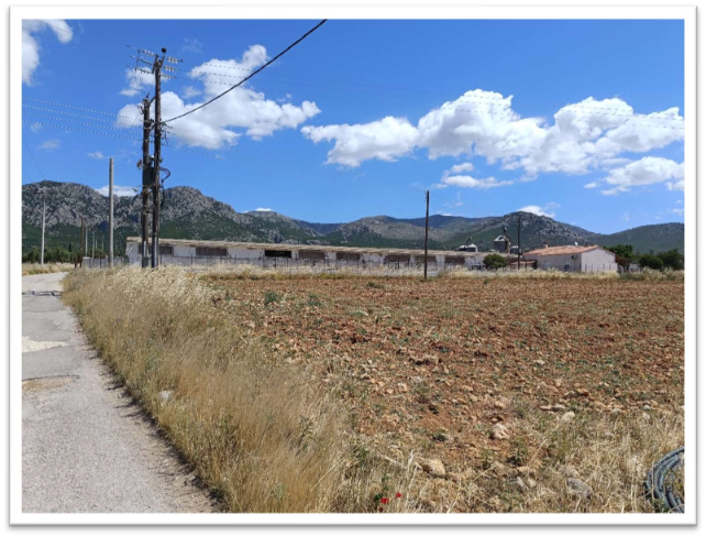 Αγροτεμάχιο με κτίσμα 9554.57 τ.μ. σε πλειστηριασμό Δήμος Μεγαρέων