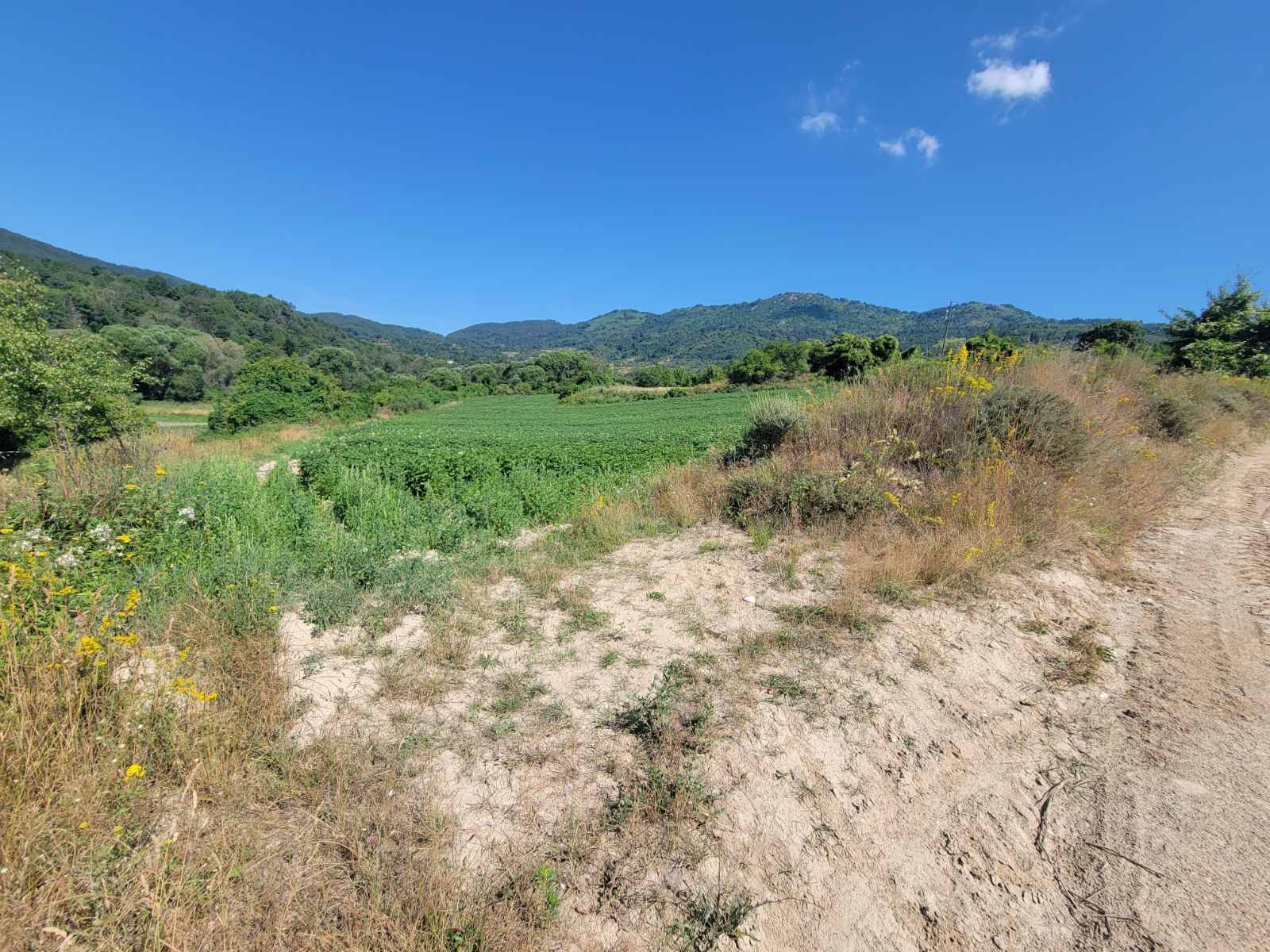 Αγροτεμάχιο 460 sq.m. σε πλειστηριασμό Municipality of Serres