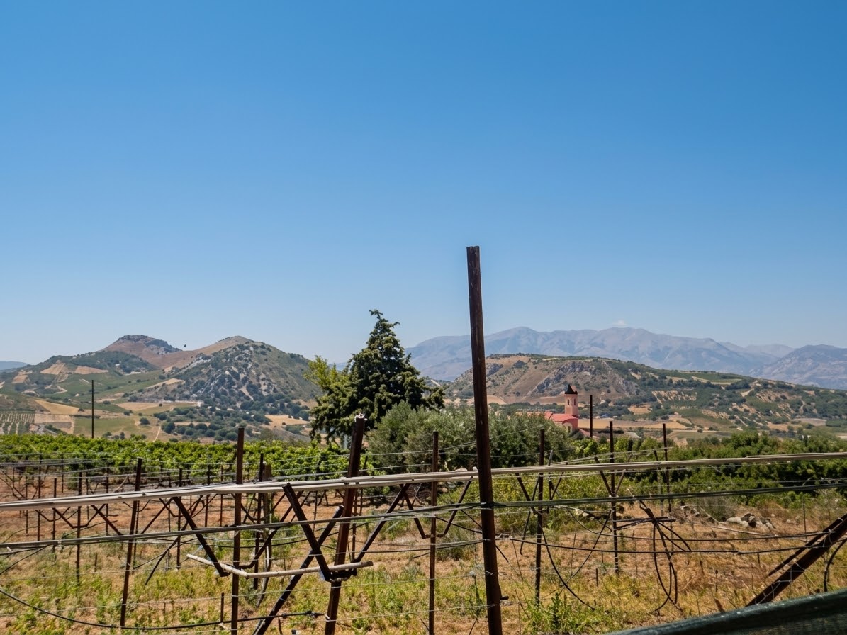 Οικόπεδο 213.51 τ.μ. σε πλειστηριασμό Δήμος Αρχανών - Αστερουσίων