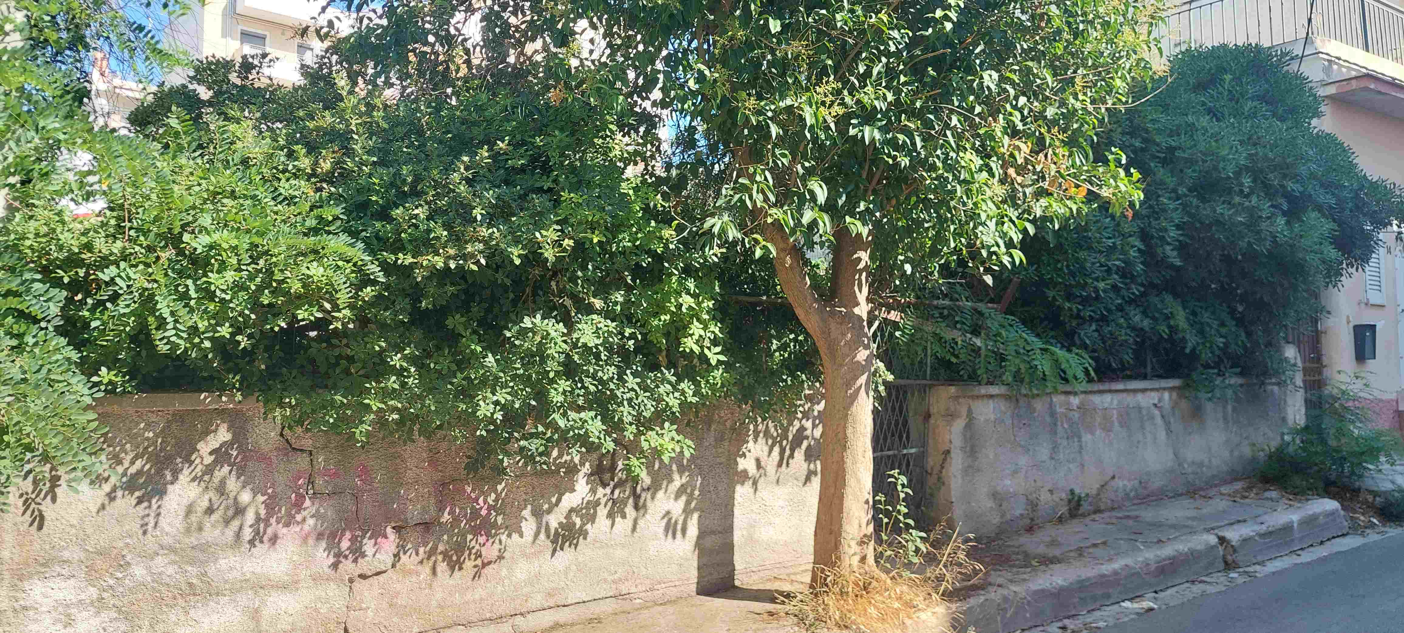 Οικόπεδο 326 τ.μ. σε πλειστηριασμό Δήμος Ηρακλείου
