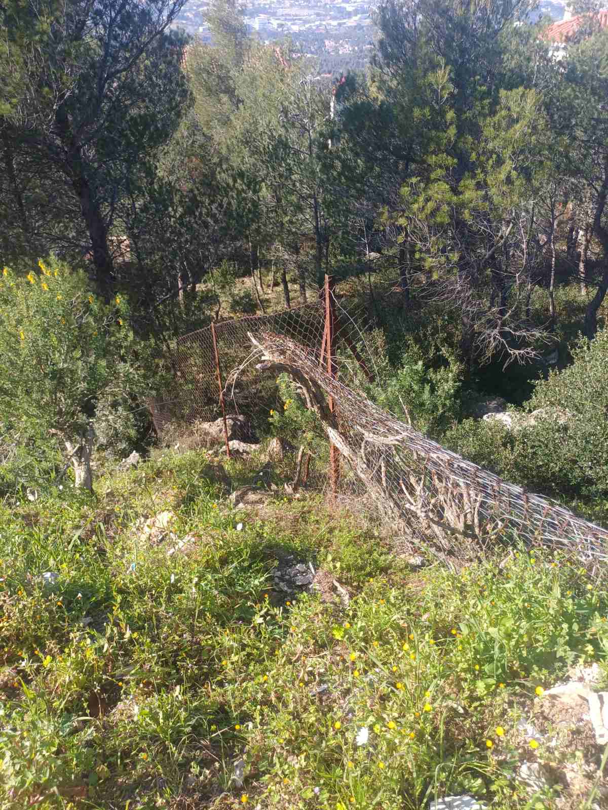 Οικόπεδο 400.50 sq.m. σε πλειστηριασμό Municipality of Dionysos