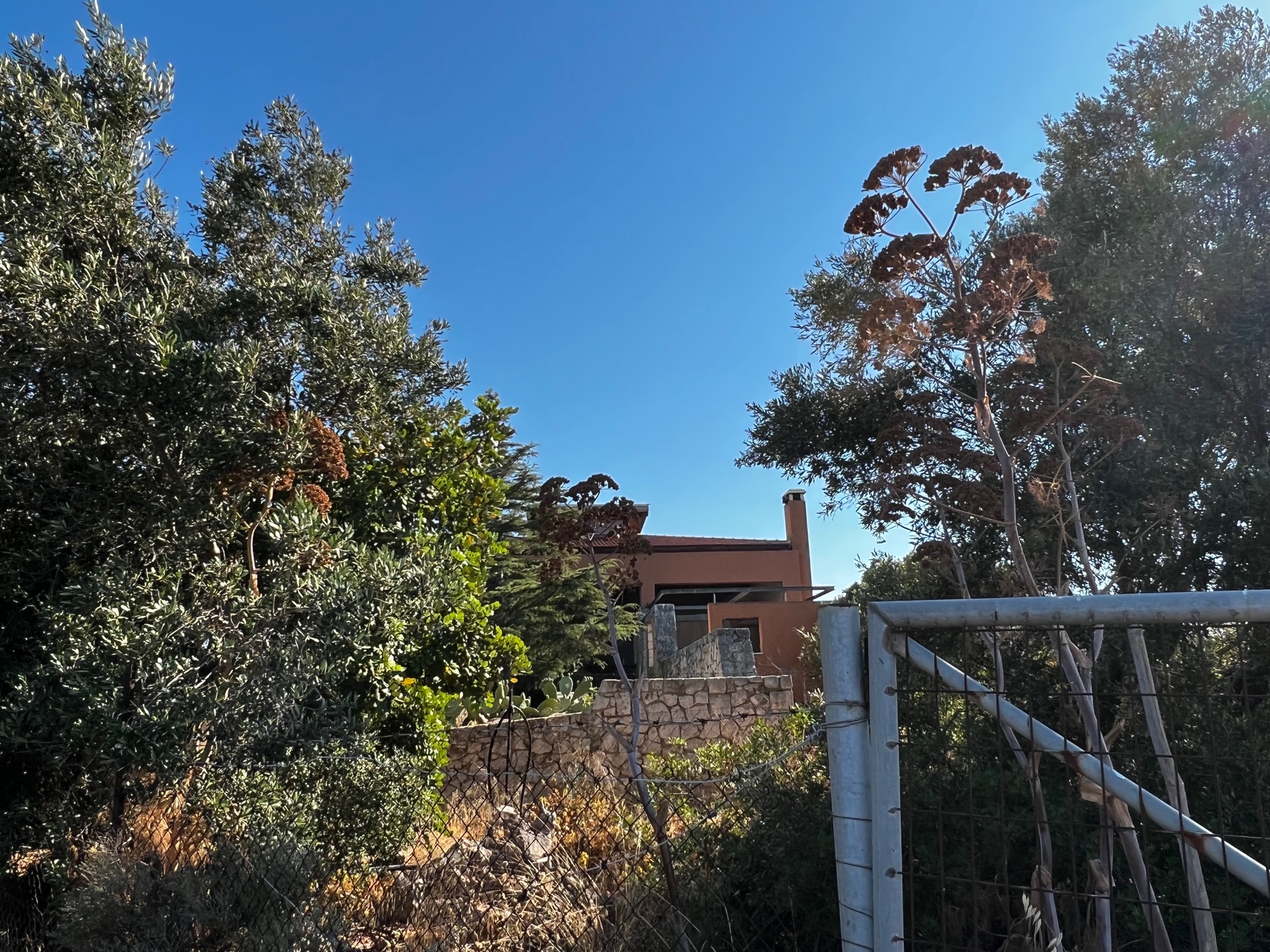 Αγροτεμάχιο με κτίσμα  σε πλειστηριασμό Municipality of Chania