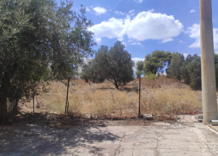 Αγροτεμάχιο 999 sq.m. σε πλειστηριασμό Municipality of Salamina