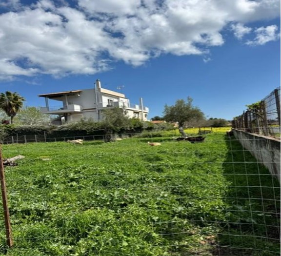 Οικόπεδο 279.12 sq.m. σε πλειστηριασμό Municipality of Oropos