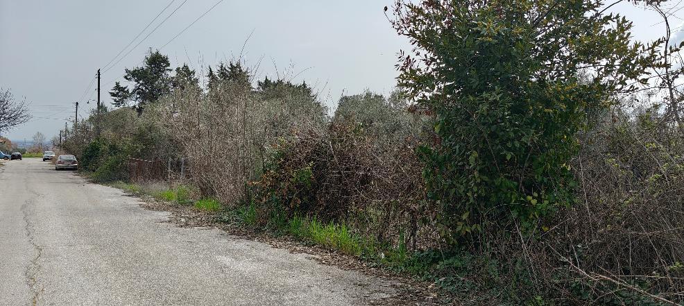 Οικόπεδο 727 sq.m. σε πλειστηριασμό Municipality of Dion - Olympus