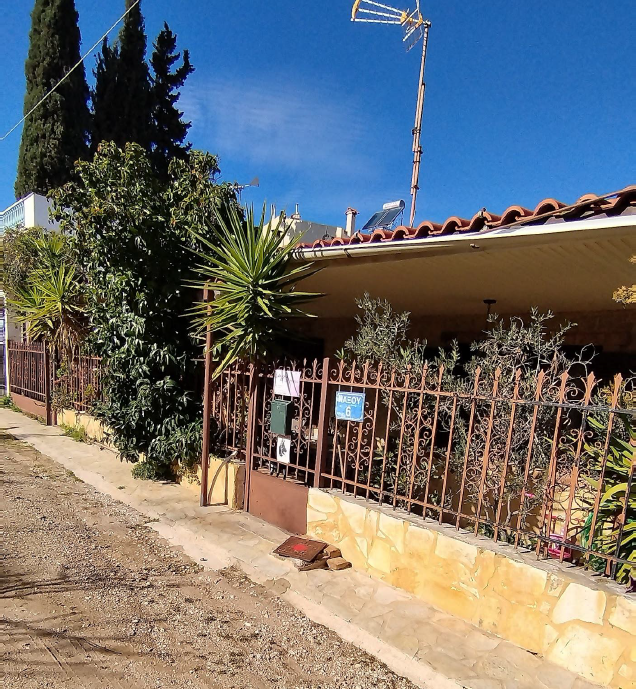 photo0