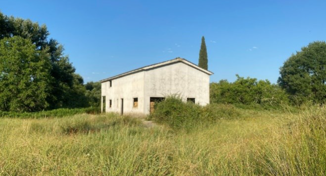 Αγροτεμάχιο  σε πλειστηριασμό Municipality of Artaia