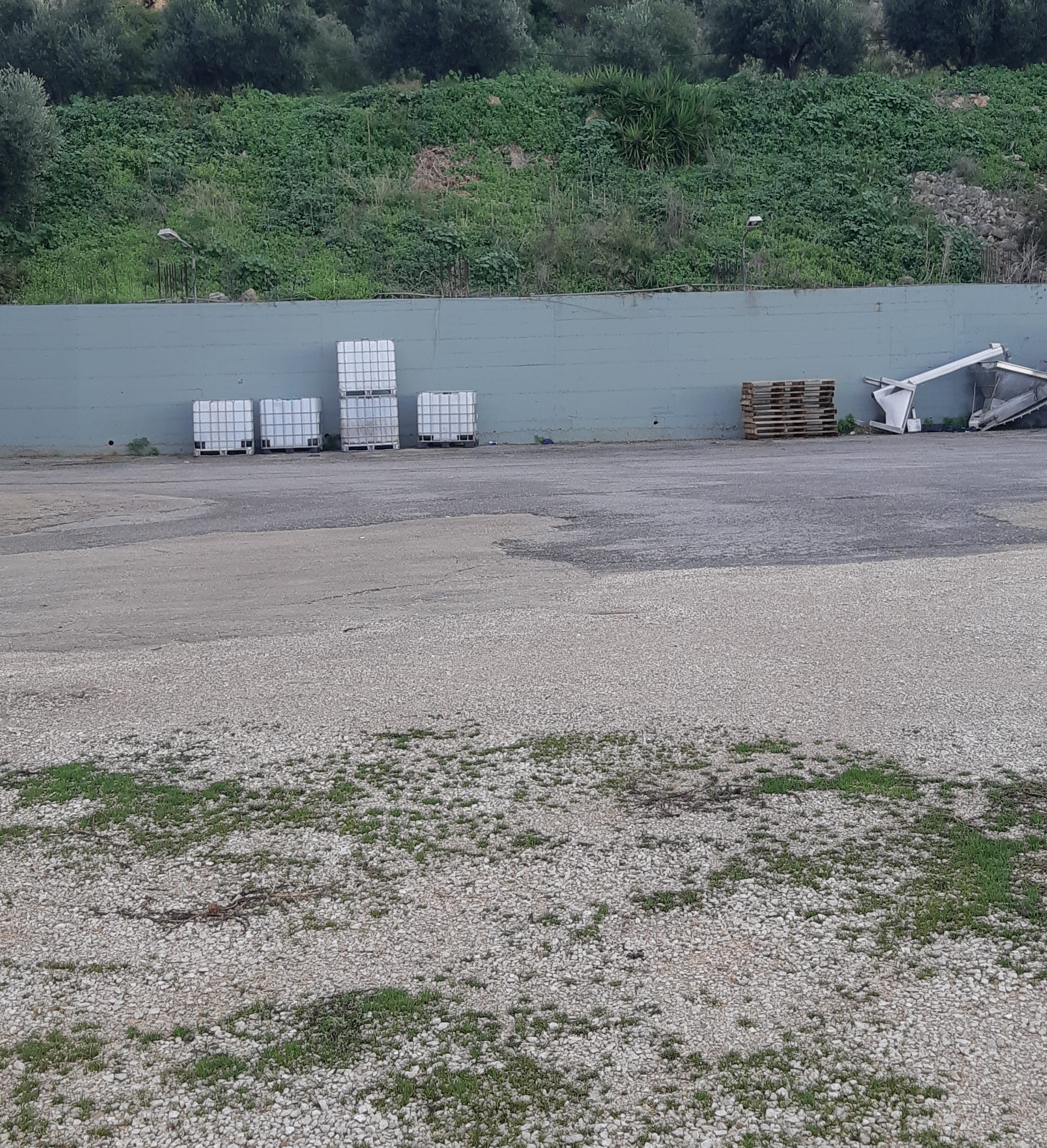 Αγροτεμάχιο  σε πλειστηριασμό Δήμος Τριφυλίας