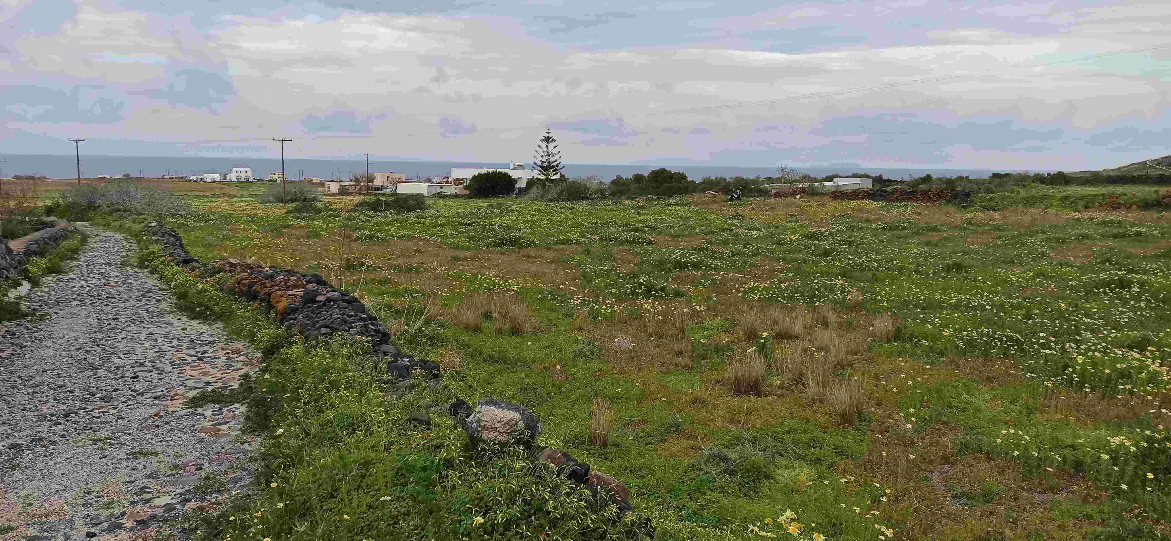 Αγροτεμάχιο  σε πλειστηριασμό Δήμος Θήρας