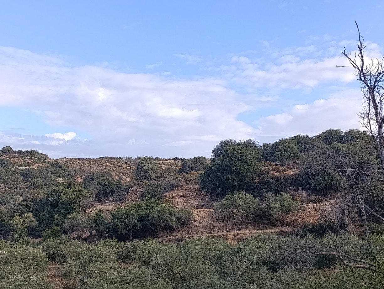 Οικόπεδο 640 τ.μ. σε πλειστηριασμό Δήμος Μυλοποτάμου