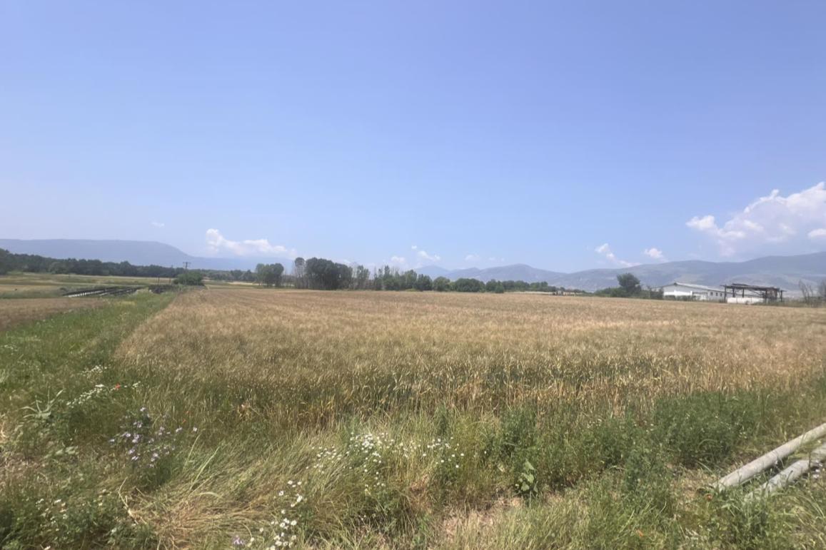 Αγροτεμάχιο  σε πλειστηριασμό Municipality of Drama