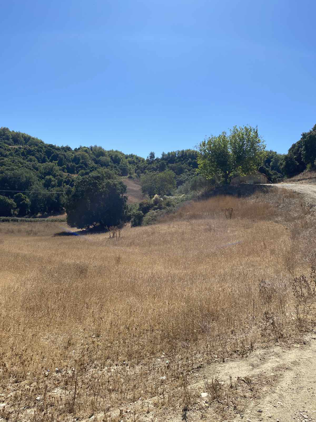 Αγροτεμάχιο με κτίσμα  σε πλειστηριασμό Δήμος Ήλιδας