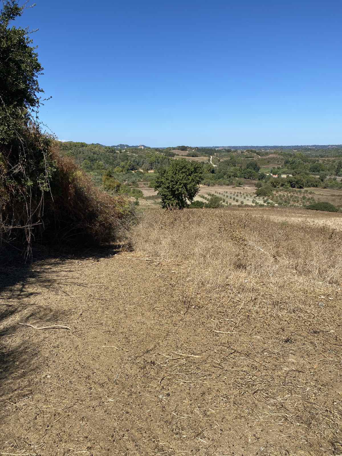 Αγροτεμάχιο  σε πλειστηριασμό Δήμος Ήλιδας