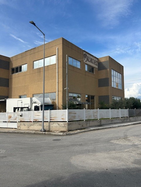 Βιομηχανικός / Βιοτεχνικός Χώρος  σε πλειστηριασμό Δήμος Πατρέων