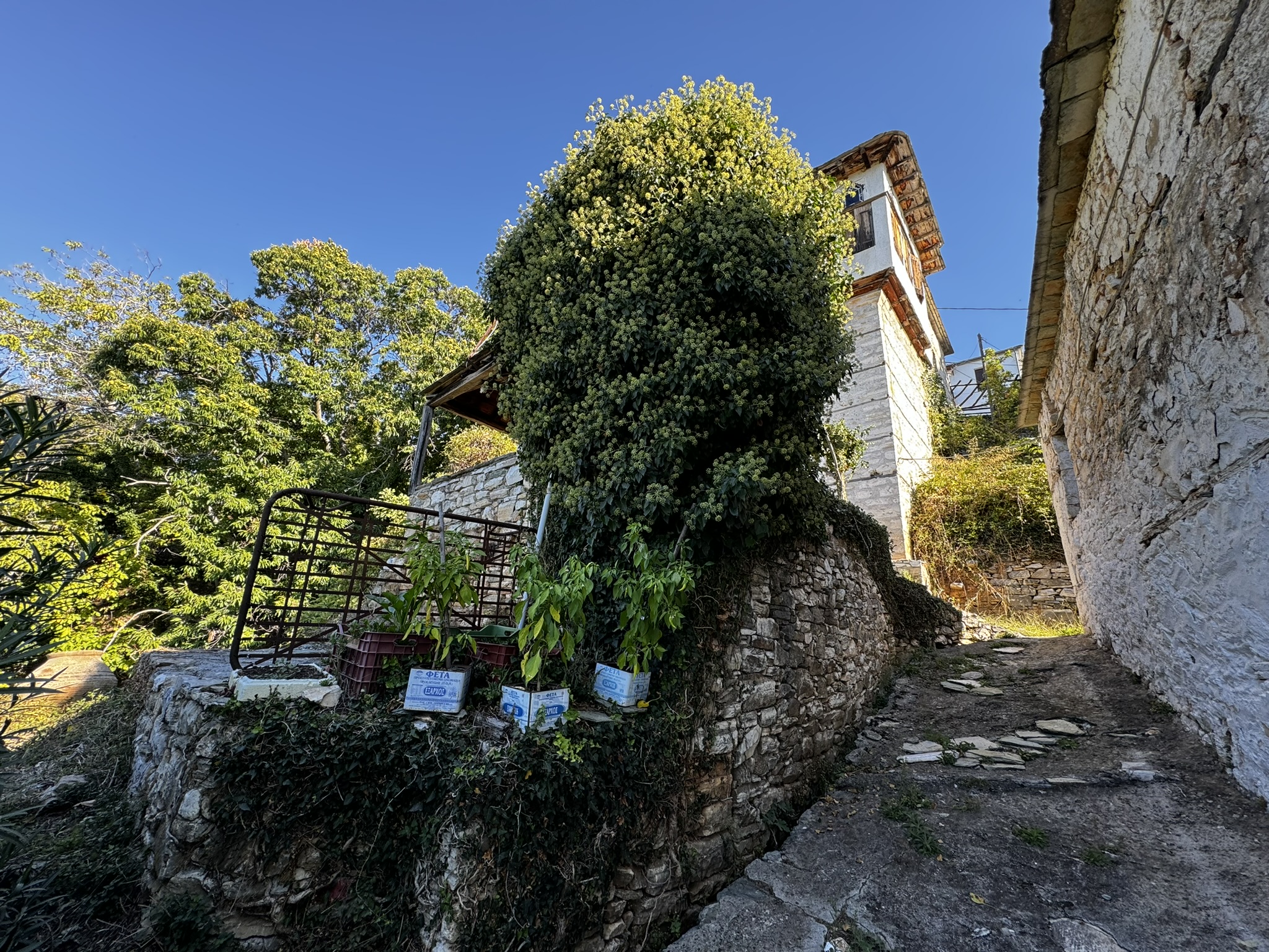 Οικόπεδο  σε πλειστηριασμό Municipality of South Pelion