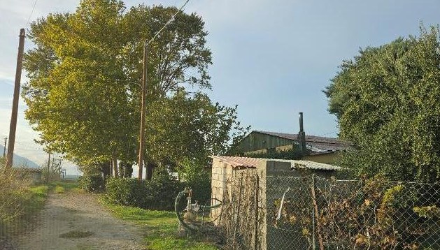 Αγροτεμάχιο με κτίσμα 17200 sq.m. σε πλειστηριασμό Municipality of Lamia