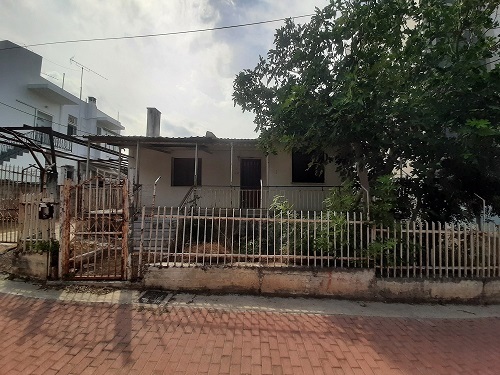 photo3