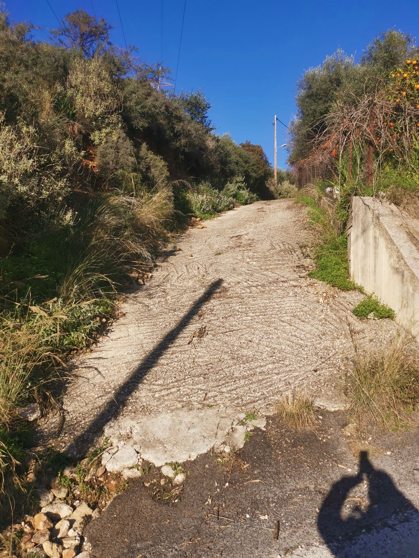 Οικόπεδο 244 τ.μ. σε πλειστηριασμό Δήμος Πατρέων