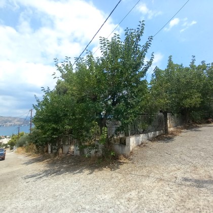 Οικόπεδο με κτίσμα  σε πλειστηριασμό Municipality of Salamina
