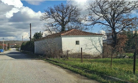 Οικόπεδο με κτίσμα 59.52 τ.μ. σε πλειστηριασμό Δήμος Παιονίας