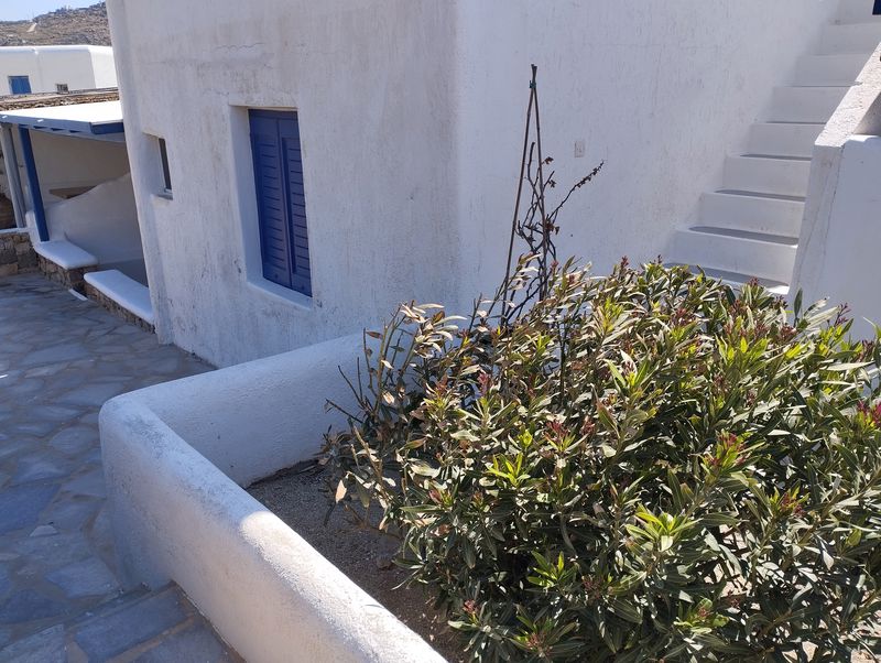 Κατοικία  σε πλειστηριασμό Δήμος Μυκόνου