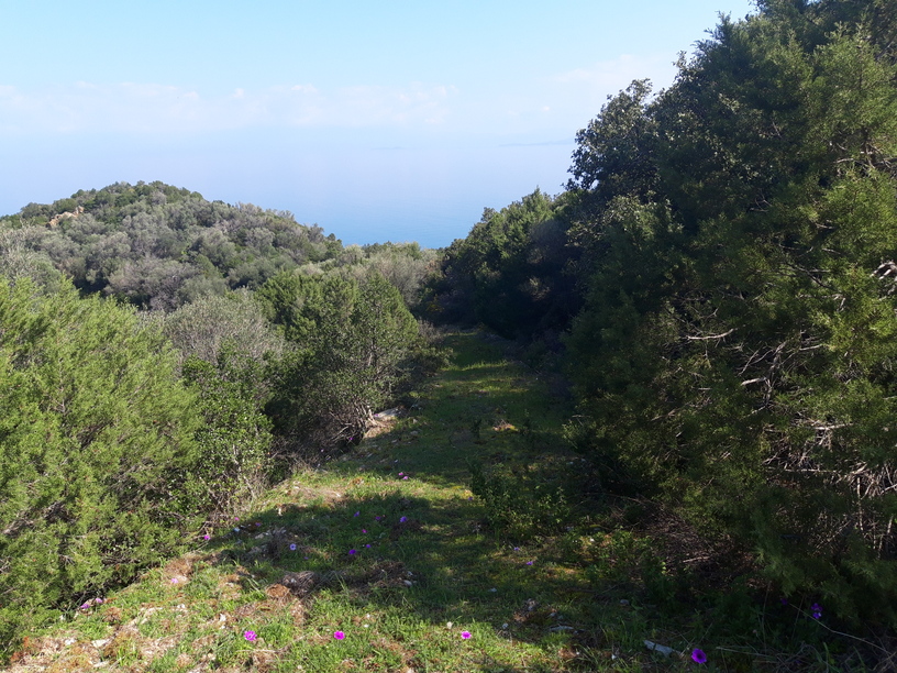 photo1