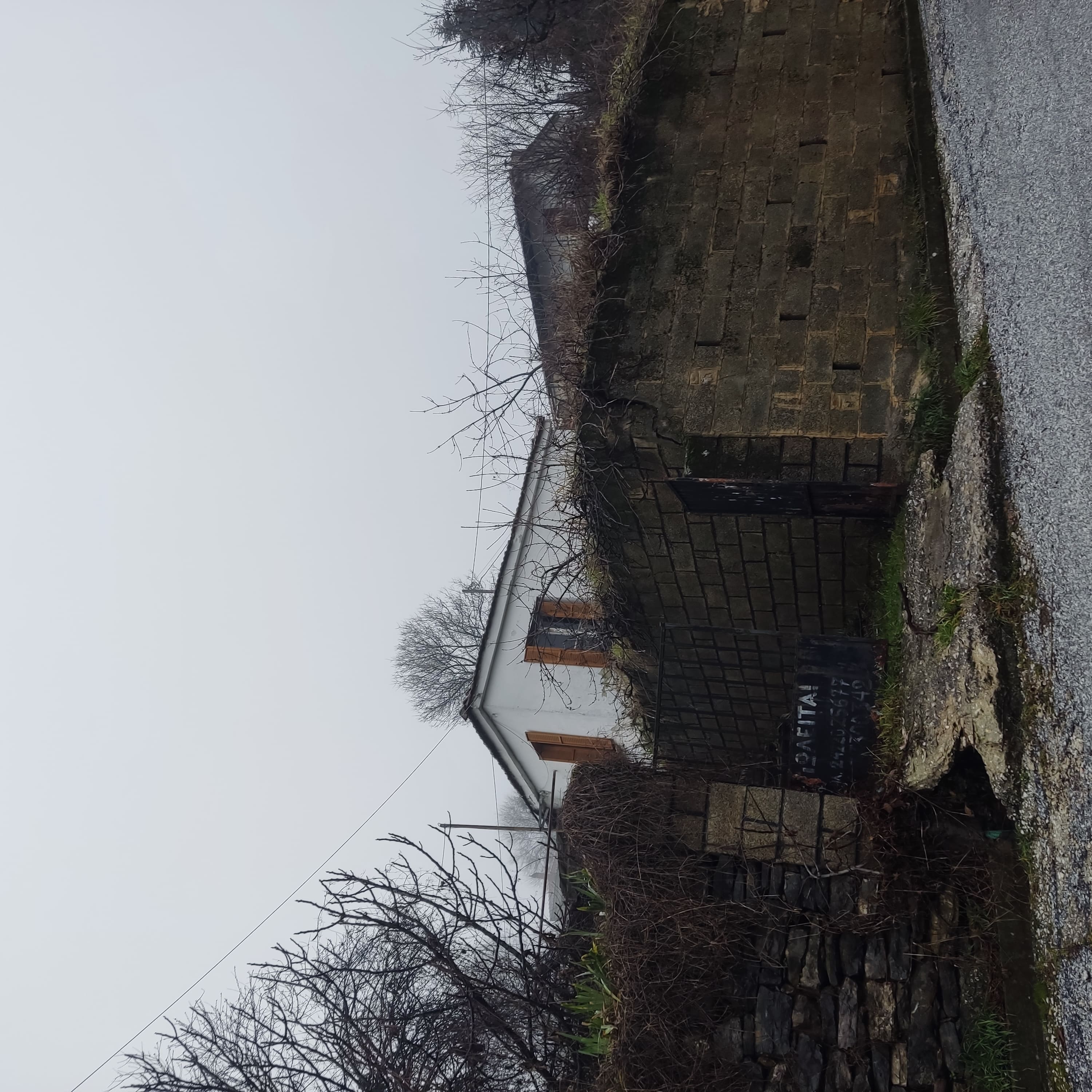 photo1