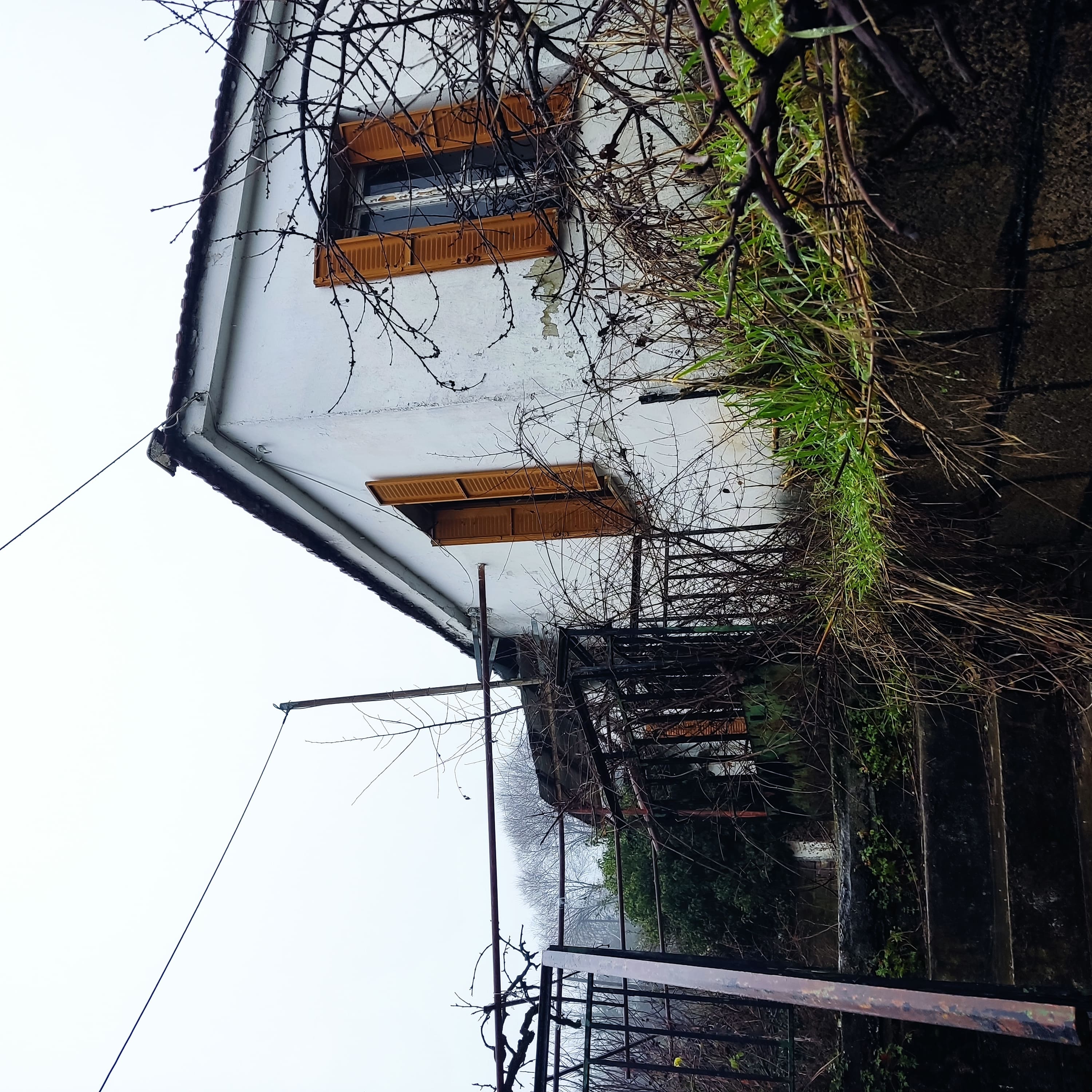 photo2
