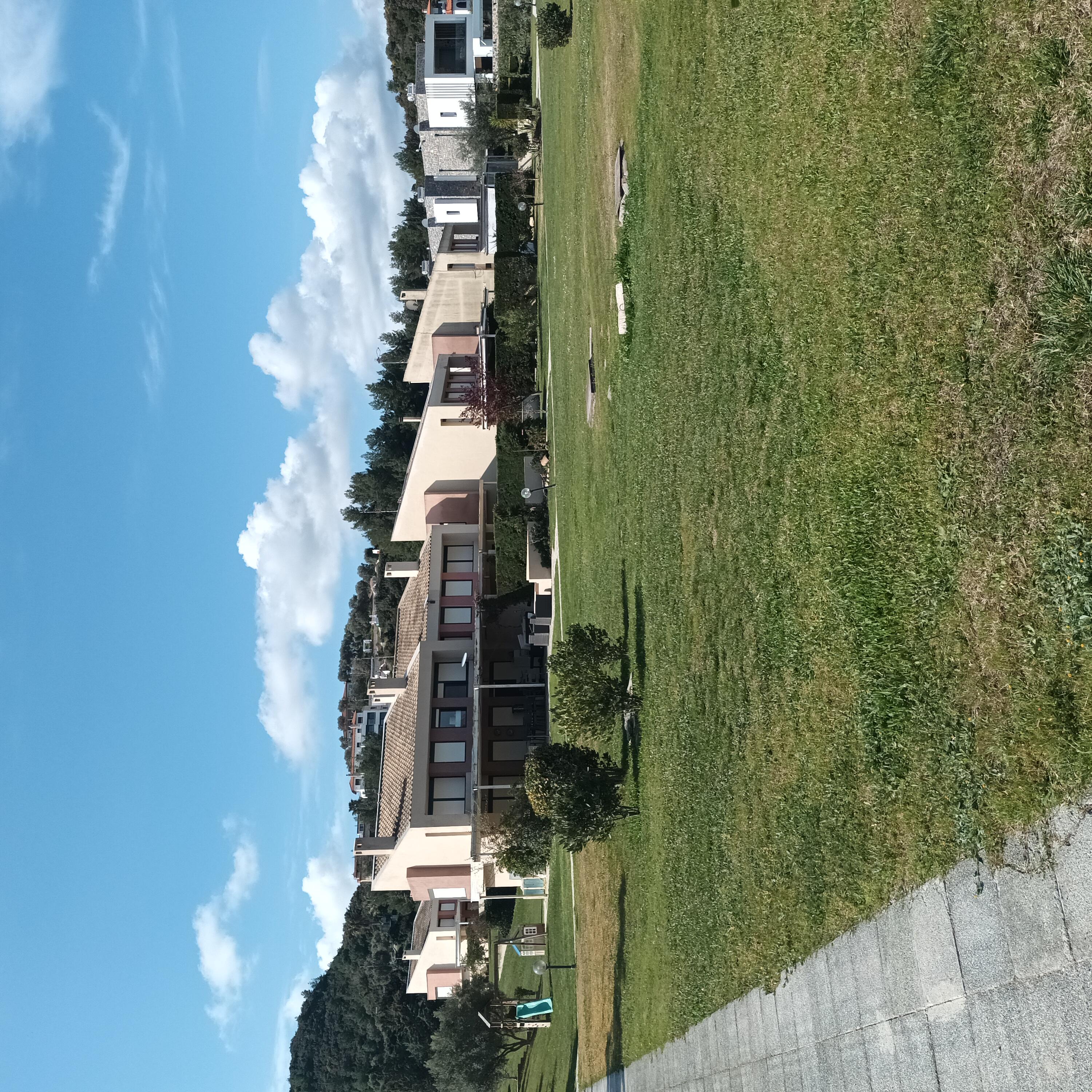 photo1
