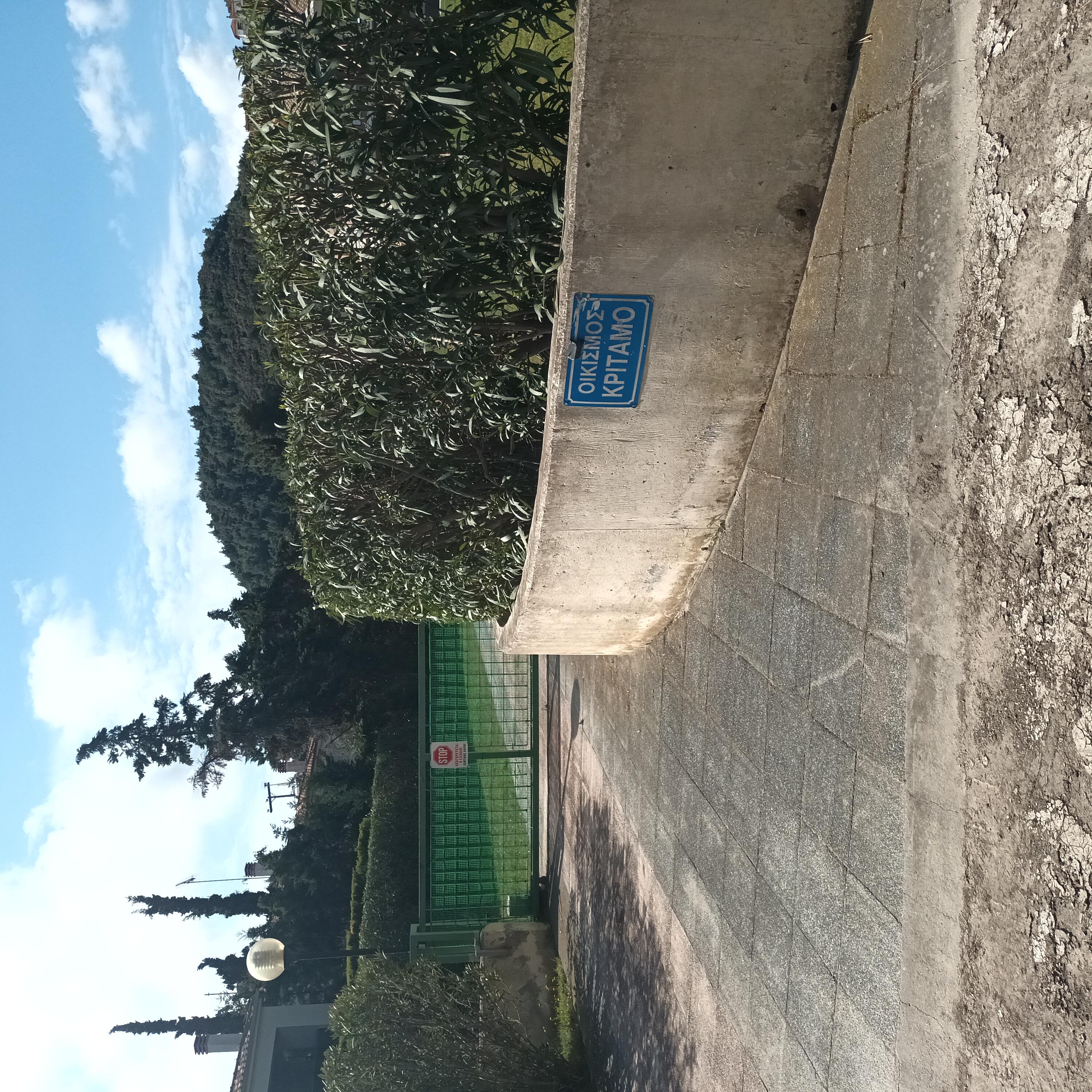 photo2