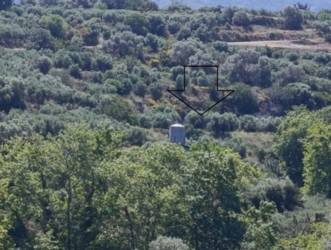 Αγροτεμάχιο με κτίσμα 4502.54 sq.m. σε πλειστηριασμό Municipality of Mylopotamos