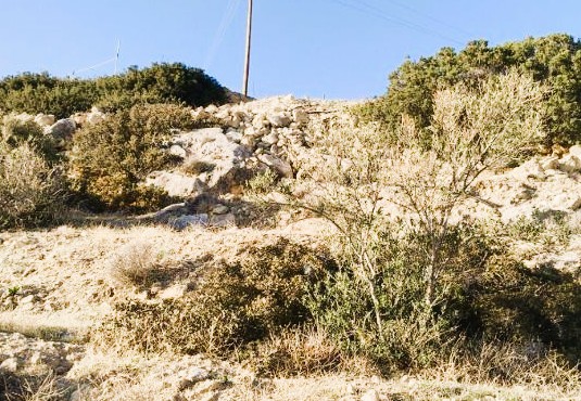 Αγροτεμάχιο 3371 sq.m. σε πλειστηριασμό Municipality of Ierapetra