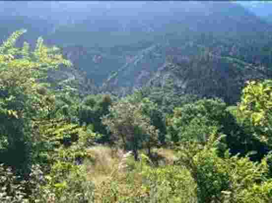 Οικόπεδο 926.01 sq.m. σε πλειστηριασμό Municipality of Agrinio