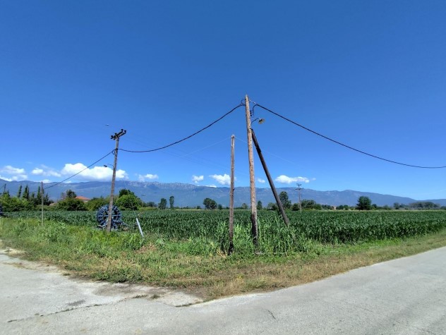 Αγροτεμάχιο  σε πλειστηριασμό Municipality of Trikkaia