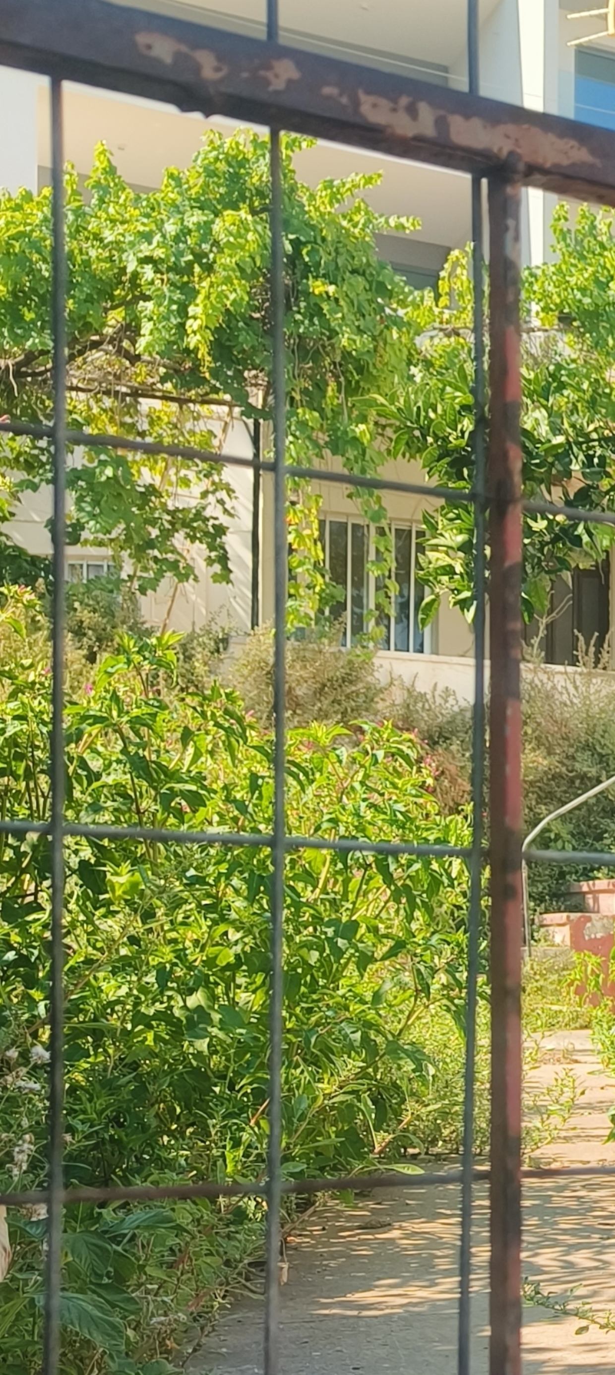 Οικόπεδο με κτίσμα  σε πλειστηριασμό Municipality of Chania