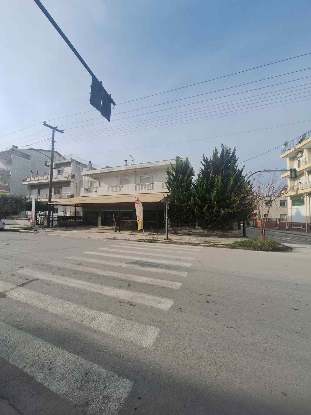 photo1