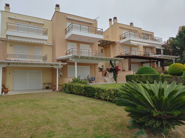 photo1