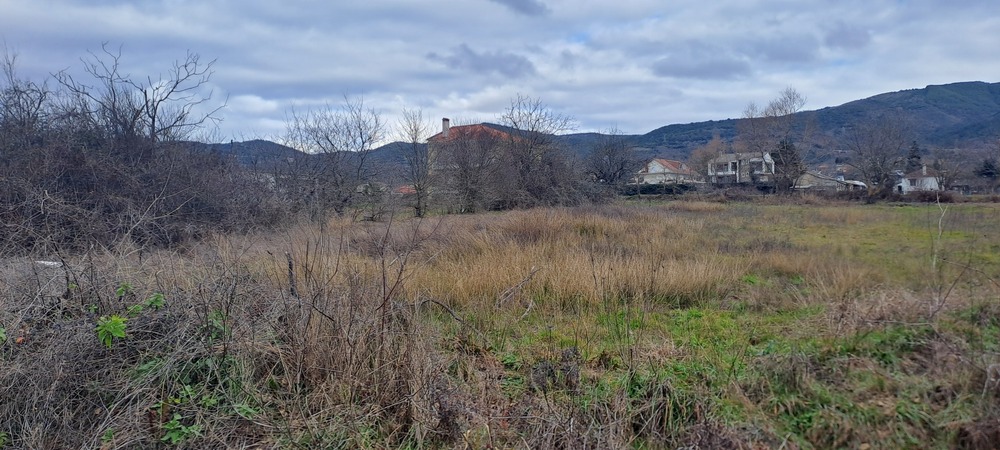 photo0