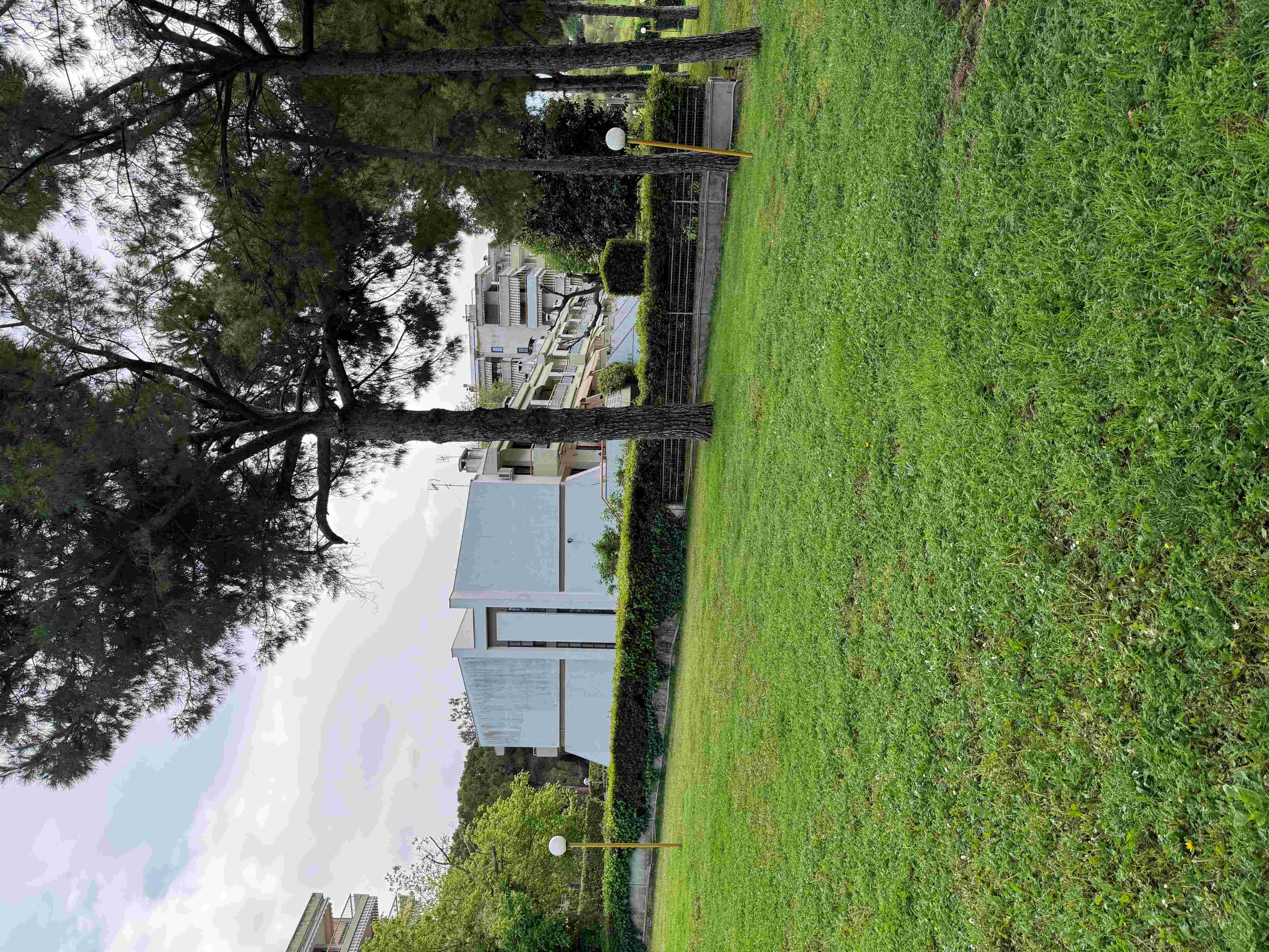 photo1