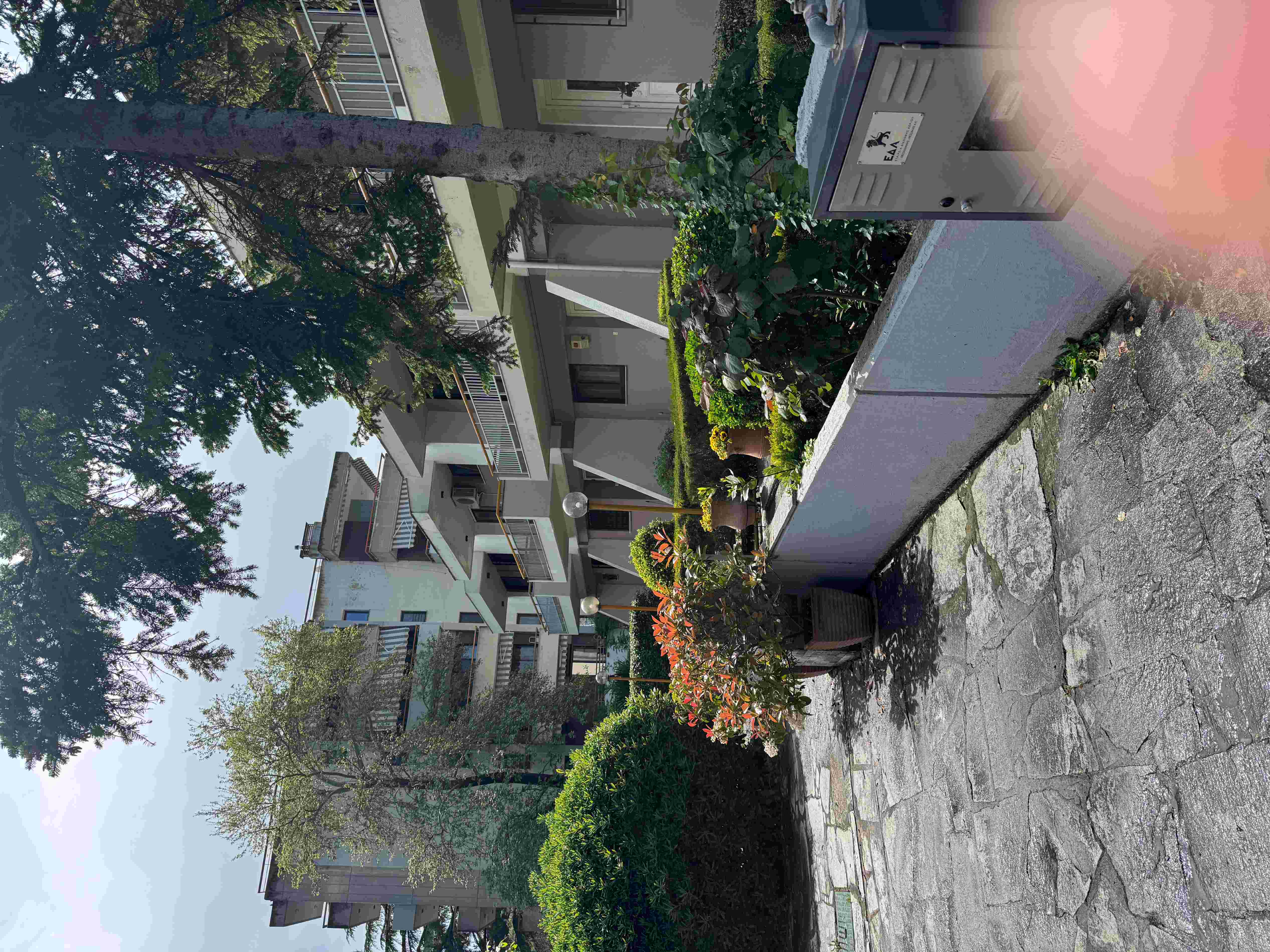 photo2