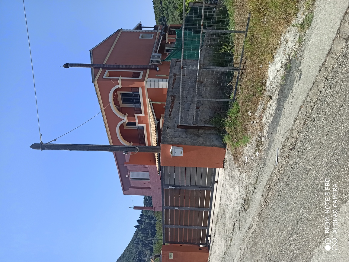 photo1