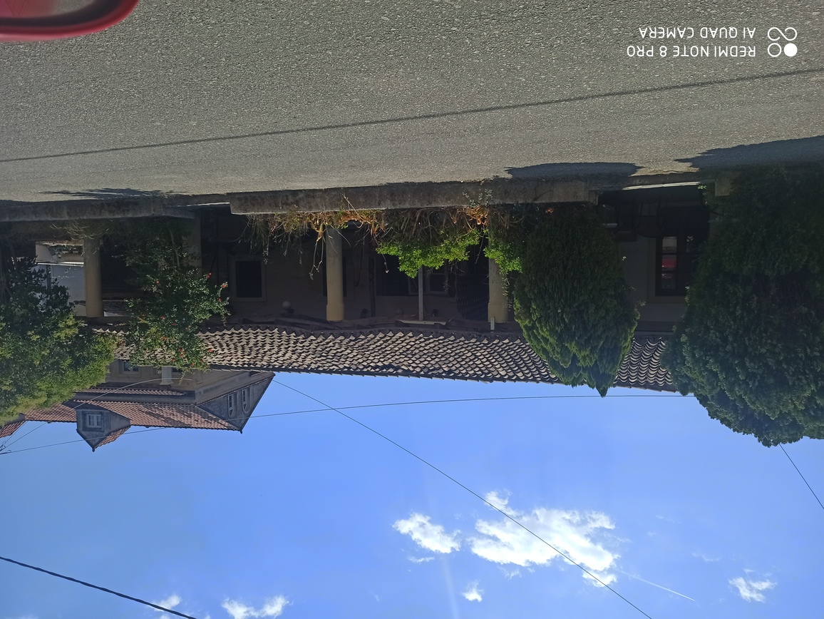 photo1