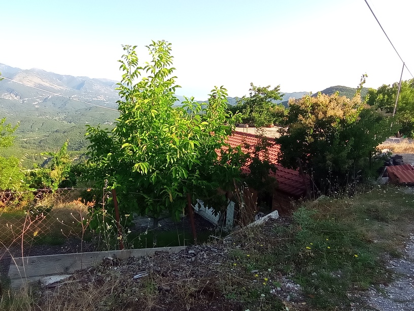 Οικόπεδο με κτίσμα 56.70 τ.μ. σε πλειστηριασμό Δήμος Σουλίου